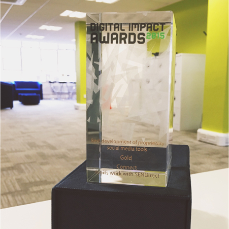 Digital Impact Award 2015